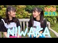 【東北産】 いぎなり東北産 『NIWAKA』 MOSO-MV