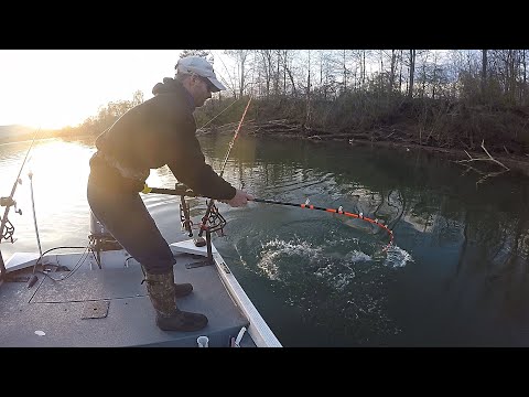 Catching Catfish In WOOD COVER Close To The Bank (Ft. @TopTacticFishing)