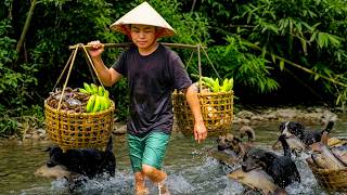 HAND-CATCHING CRABS, HARVESTING CLAMS & SETTING BAMBOO FISH TRAPS (RELIVING CHILDHOOD)
