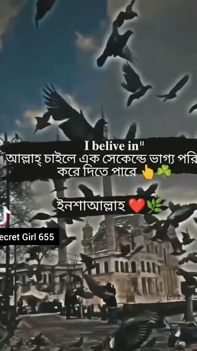 Insha Allah #foryou #youtubeshorts #tiktok #shorts #video #islamic