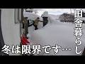 【バツイチ独身と愛犬】田舎暮らし雪のまとめ、想像以上の大雪でした｜2025年の冬から2026年の春前までの記録
