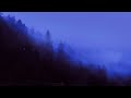 øneheart X Inertia Fading Lights 