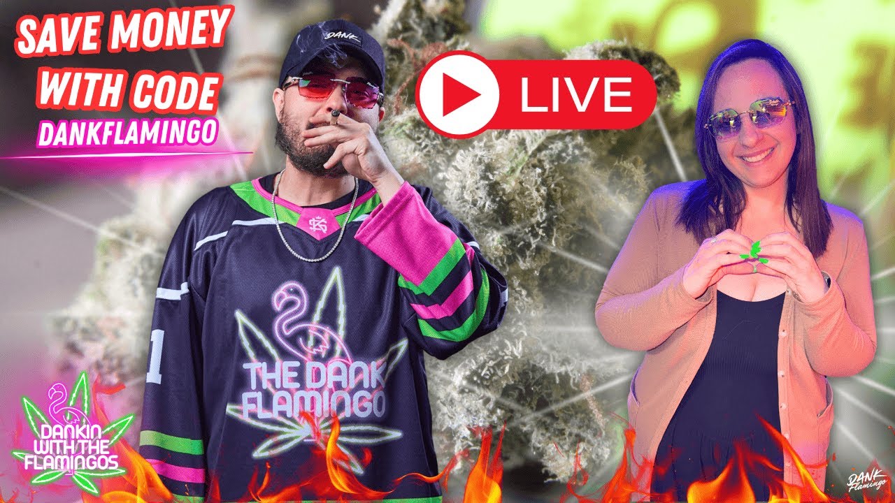 DANK-MAS is Approaching! Dankin with the Flamingos LIVE