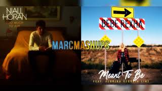 Niall Horan, Bebe Rexha - Too Much To Ask / Meant To Be (Mashup)