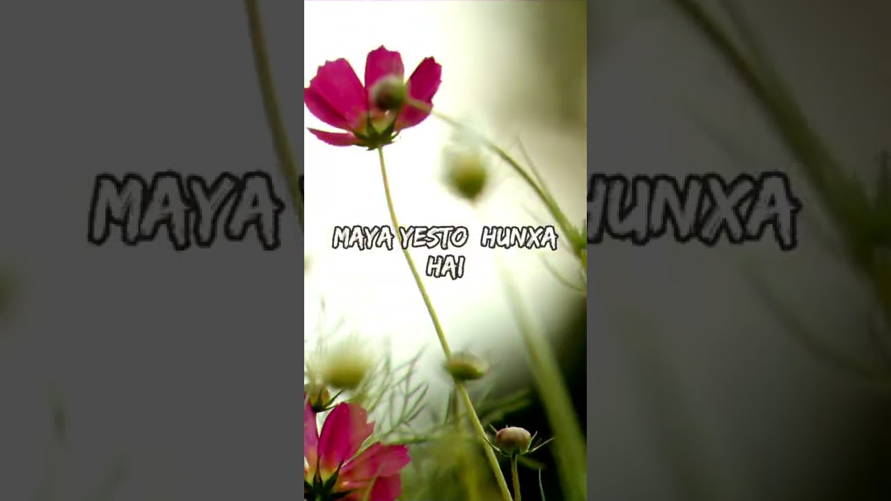 thaha thiyena malai maya yesto hunxa hai 