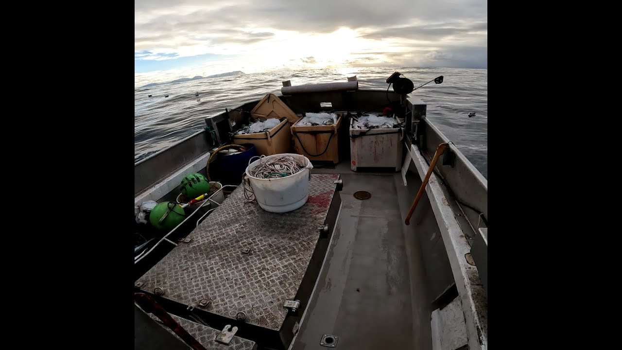 Skrei tokt dag 5. Ny presonlig rekord. Alt klaffet og freden går videre nordover til Tufjord.
