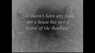 Banshee