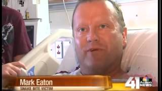 Man Recovering From Copperhead Bite In Olathe