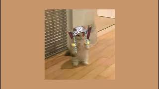 Gal Cho Kawaii - Ohayo (ft. Shake Pepper & Yvngboi P) // speed up