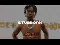 Burna Boy & Rema / Afro-Fusion Type Beat - "STUBBORN"
