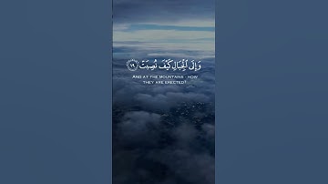 أفلا ينظرون إلى الإبل | تلاوة مؤثرة للشيخ عبدالباسط 🎙️