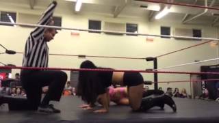 Skarlet Vs. Violet