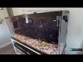 Top 5 Best Fish Tanks 2026 - A Beginner's Guide to Easy Setup