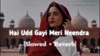 Hai Udd Gayi|Slowed Reverb| Sonu Nigam|Govinda songs, Hindi Lofi