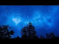 Relaxing Harp Music: Rain & Thunder, Sleep Music, Relaxing Music, Sleeping Music, Fall Asleep ★120