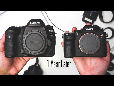 One Year Later with Sony Mirrorless - From Shooting Canon to Sony