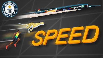 COMPARISON: Record Breaking Speed - Guinness World Records