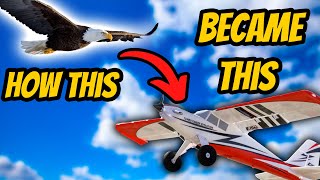 A Complete History Of Like 1% Of RC Planes