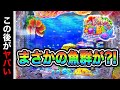 【865日目】 Pスーパー海物語in沖縄6実践動画!(ガチ実践動画2026/6/19)