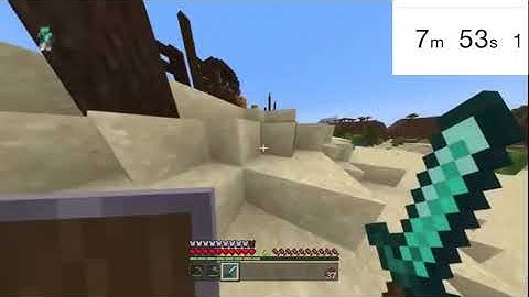 The Traveling Trader No Skips Any% Former World Record Speedrun (13:55)