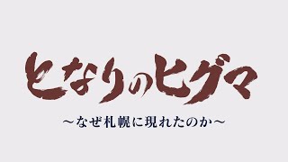 【どさんこドキュメント初配信】となりのヒグマ　なぜ札幌に現れたのか