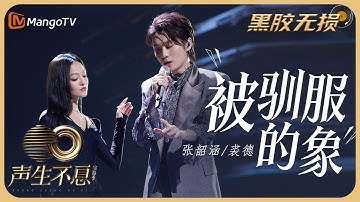 【纯享·黑胶无损】张韶涵＆裘德《被驯服的象》舞台剧式演绎“被驯服”的无奈｜声生不息宝岛季 EP8 Infinity and Beyond 2023 | MangoTV