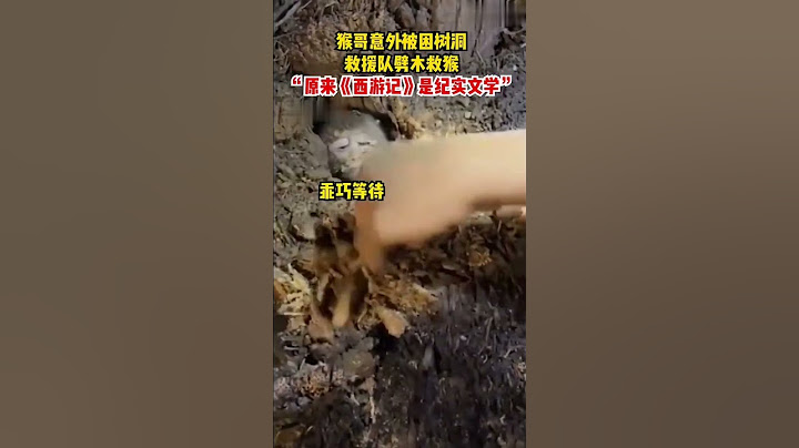 小猴子被困树洞 救援队劈木救猴！齐天大圣 是你吗？ #西游记 #journeytothewest #shorts #孙悟空  #tâyduký