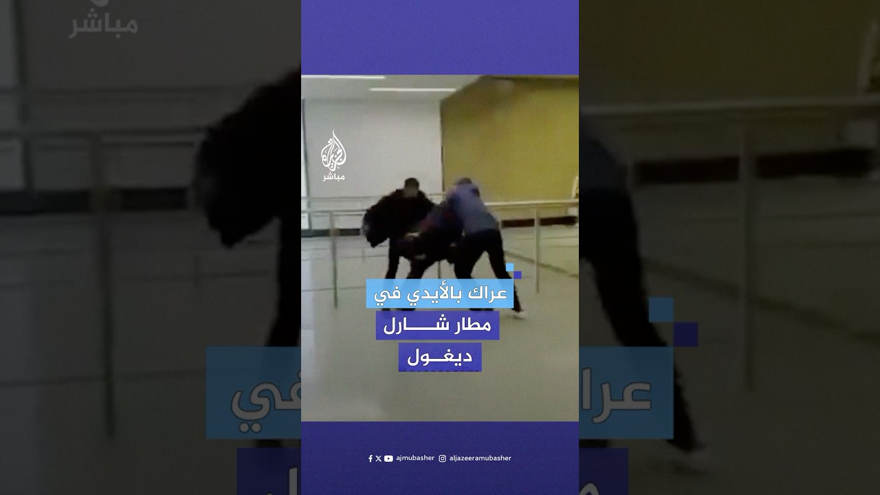 الشرطة الفرنسية تفض عراكا بين مسافرين أتراك ومؤيدين لحزب العمال الكردستاني في مطار شارل ديغول
