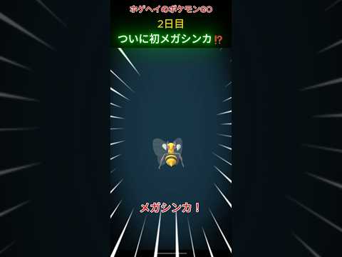 ホゲヘイのポケモンGO2日目「ついに初メガシンカ!?」 #ポケモン #ポケモンGO