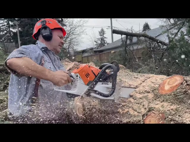 MS 500i STIHL Professional Chain Saw