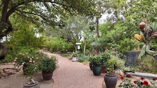 Arizona Living Visits The Tucson Botanical Gardens