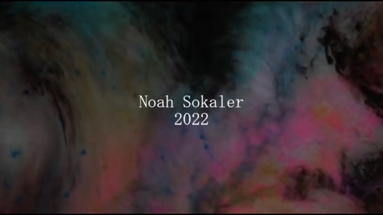 Noah Sokaler Demo Reel 2022