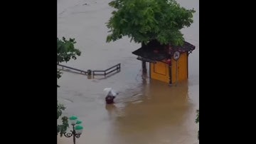 Giải Cứu Người đàn ôm cột điện giữa dòng lũ cuồn cuộn trong đêm #tintuc