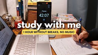 1 hour STUDY WITH ME - no breaks (fire crackling, no music) - learning languages