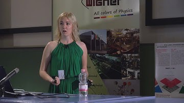 Alexandra Nagy: Variational quantum Monte Carlo with neural network ansatz for open qua