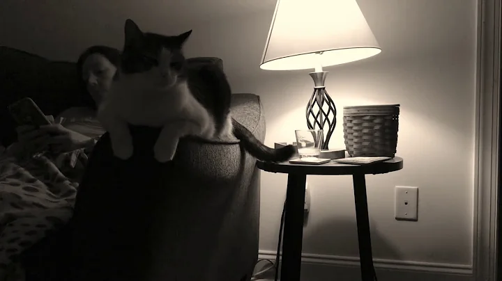 Weird video