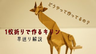 【複雑系折り紙解説】難しい折り紙をタイムラプスで解説！「キリン」の作り方