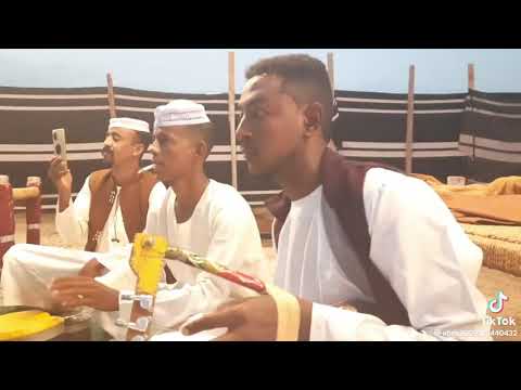 جيناكم من جديد مع عباس وتر وفرقة العباساب في المملكة