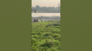 Khởi nghiệp làm ao nuôi ốc nhồi  #ocbuouden #hieuthuysan