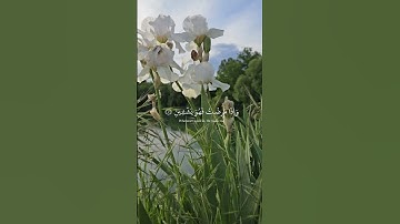 سورة الشعراء ( 78 ) بصوت فضيلة الشيخ عبدالباسط عبدالصمد .