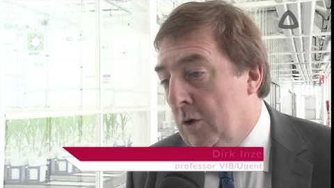 WIWAM - plant phenotyping robots