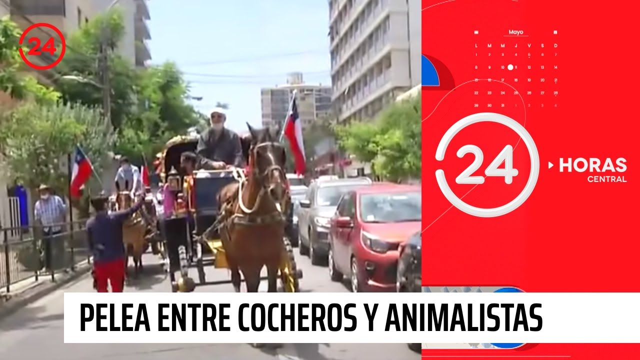 xo so mn thu 3 hang tuan Pelea a golpes entre cocheros y animalistas en Viña del Mar | 24 Horas TVN Chile