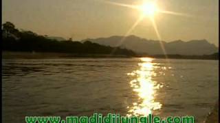 MADIDI JUNGLE ECOLODGE