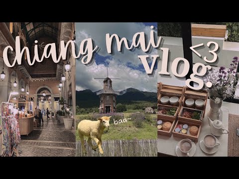 chiang mai, thailand 泰国清迈 🇹🇭🗺️ EP.1 | sheep farm 🐑 *cute*, aesthetic hotel 💅🏻, food 🍱 , etc🤍