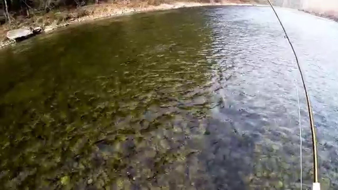 Dirtbag fly fishing posse fishing the Loyalsock YouTube