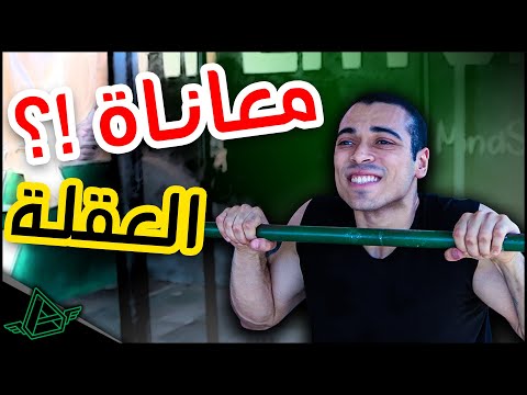 ضاعف عدات العقلة  أشياء احذر فعلها اذا كنت تريد زيادة العدات  أفلاطون