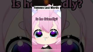 Chibi Regrets Asking This Details