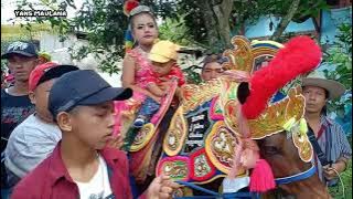 Kuda Renggong Paling Banyak Bongkok Jambu Sumedang Part 3