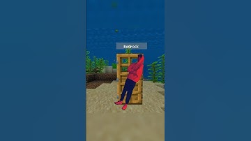 Minecraft Java vs Bedrock #shorts #minecraft #minecraftshorts