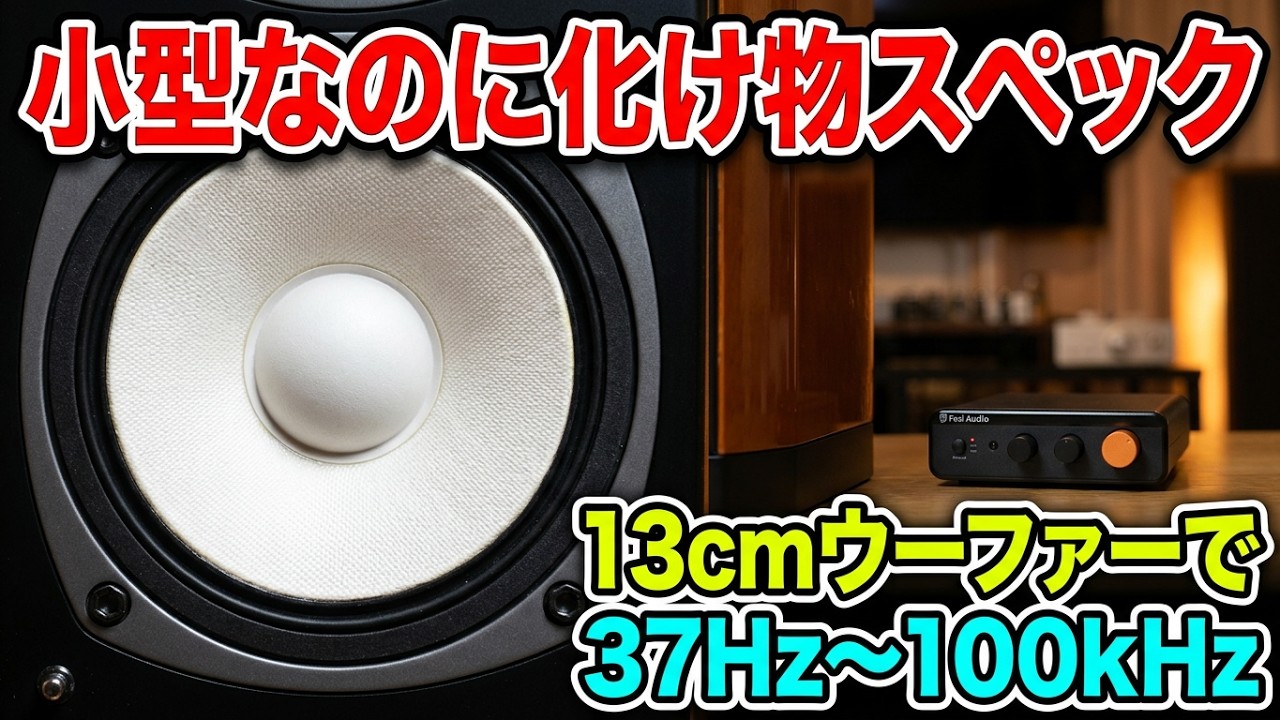 Audio, Amplifier, Speakers: I bought these high-end 13cm 2-way